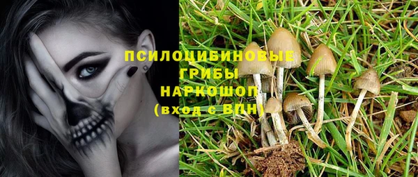 прущие крисы Армянск