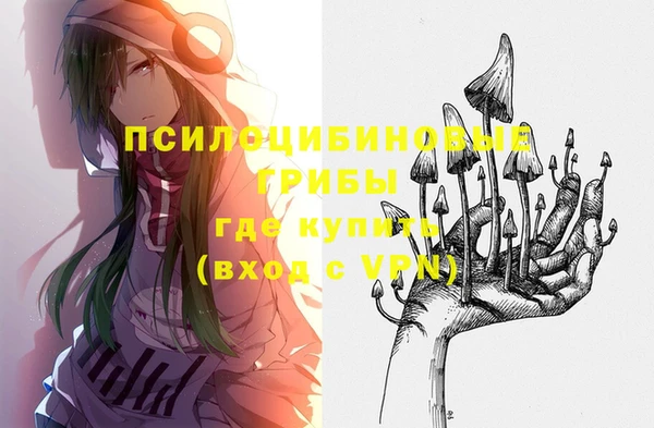 прущие крисы Армянск