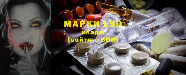 мдпв Гусев